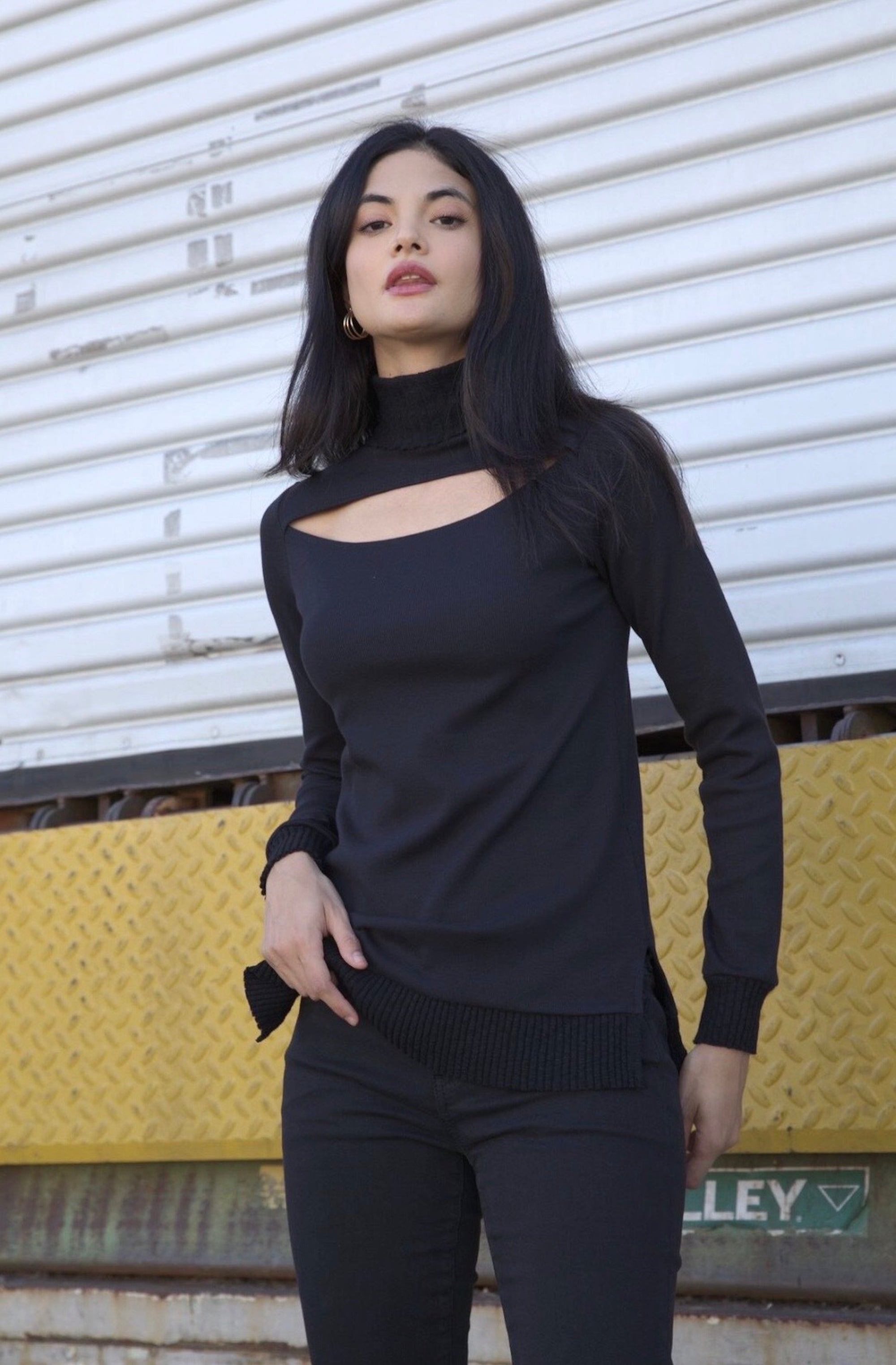 Long Sleeve Turtleneck Cut Out Top